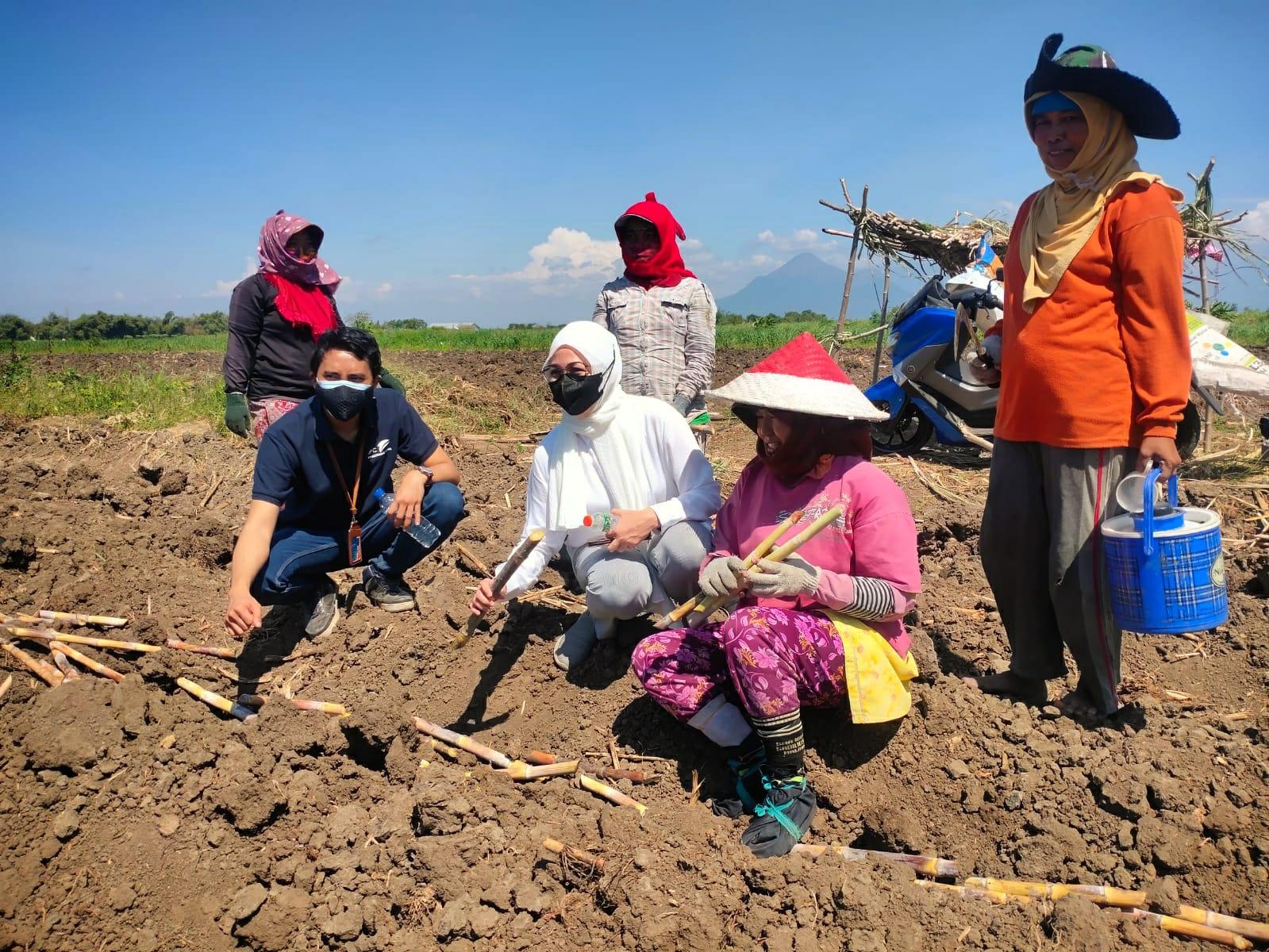 Sinergi BUMN Dukung Budidaya Tanaman